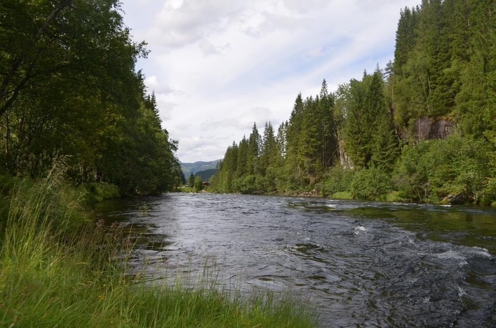 Doskelandslia Camping Sygna 外观 照片